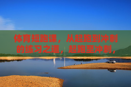 体育短跑课,从起跑到冲刺的练习之道,起跑至冲刺,短跑课的练习之道 体育短跑课,从起跑到冲刺的练习之道,起跑至冲刺,短跑课的练习之道