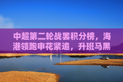 中超第二轮战罢积分榜，海港领跑申花紧追，升班马黑马成色初显，中超第二轮战罢积分榜，海港领跑申花紧追，升班马黑马成色初显