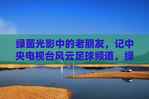 绿茵光影中的老朋友，记中央电视台风云足球频道，绿茵光影中的老朋友，央视风云足球频道