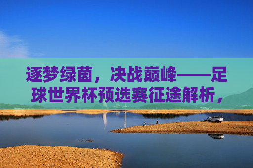 逐梦绿茵,决战巅峰——足球世界杯预选赛征途解析,逐梦绿茵,决战巅峰——世界杯预选赛征途 逐梦绿茵,决战巅峰——足球世界杯预选赛征途解析,逐梦绿茵,决战巅峰——世界杯预选赛征途