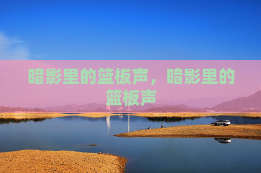 暗影里的篮板声，暗影里的篮板声