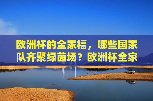 欧洲杯的全家福,哪些国家队齐聚绿茵场?欧洲杯全家福,国家队齐聚绿茵场 欧洲杯的全家福,哪些国家队齐聚绿茵场?欧洲杯全家福,国家队齐聚绿茵场