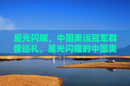 星光闪耀，中国奥运冠军群像巡礼，星光闪耀的中国奥运冠军群像