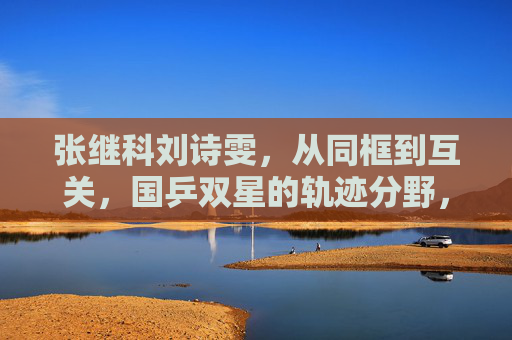 张继科刘诗雯，从同框到互关，国乒双星的轨迹分野，张继科刘诗雯，从同框到互关，国乒双星的轨迹分野