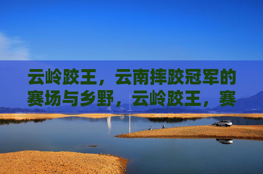 云岭跤王,云南摔跤冠军的赛场与乡野,云岭跤王,赛场争锋与乡野传承 云岭跤王,云南摔跤冠军的赛场与乡野,云岭跤王,赛场争锋与乡野传承