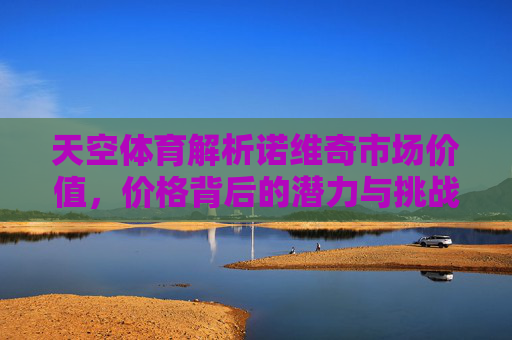 天空体育解析诺维奇市场价值，价格背后的潜力与挑战，天空体育解析诺维奇市场价值，价格背后的潜力与挑战
