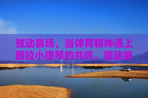 弦动赛场,当体育精神遇上西拉小提琴的共鸣,弦动赛场,西拉小提琴共鸣体育精神 弦动赛场,当体育精神遇上西拉小提琴的共鸣,弦动赛场,西拉小提琴共鸣体育精神