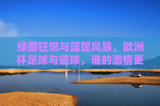 绿茵狂想与篮筐风暴,欧洲杯足球与篮球,谁的激情更懂你?绿茵与篮筐,谁的激情更懂你? 绿茵狂想与篮筐风暴,欧洲杯足球与篮球,谁的激情更懂你?绿茵与篮筐,谁的激情更懂你?