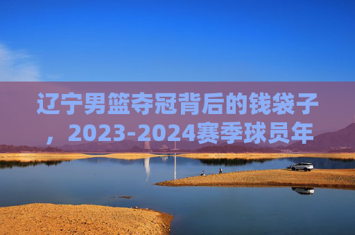 辽宁男篮夺冠背后的钱袋子,2023-2024赛季球员年薪表深度解析,辽宁男篮夺冠钱账,2023-24赛季球员年薪深度解析 辽宁男篮夺冠背后的钱袋子,2023-2024赛季球员年薪表深度解析,辽宁男篮夺冠钱账,2023-24赛季球员年薪深度解析