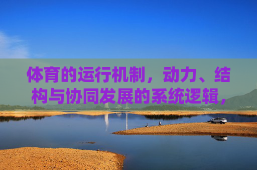 体育的运行机制，动力、结构与协同发展的系统逻辑，体育运行机制的动力-结构-协同发展系统逻辑