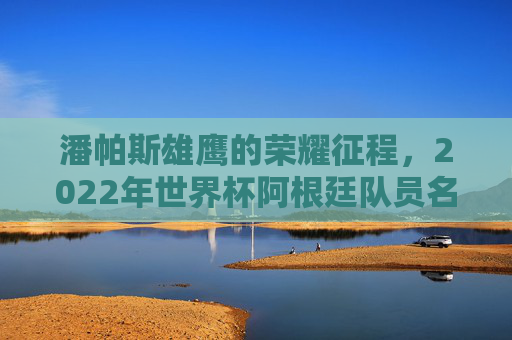 潘帕斯雄鹰的荣耀征程，2022年世界杯阿根廷队员名单全解析，潘帕斯雄鹰2022世界杯荣耀征程，队员名单全解析