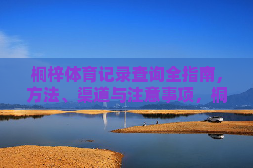 桐梓体育记录查询全指南，方法、渠道与注意事项，桐梓体育记录查询全指南