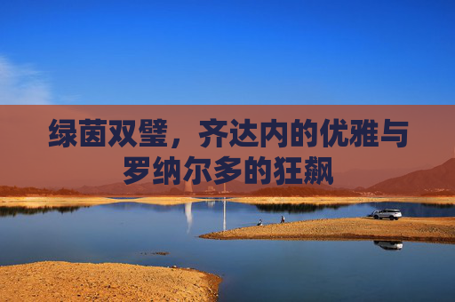 绿茵双璧,齐达内的优雅与罗纳尔多的狂飙 绿茵双璧,齐达内的优雅与罗纳尔多的狂飙