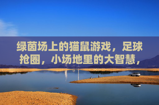 绿茵场上的猫鼠游戏,足球抢圈,小场地里的大智慧,小场地猫鼠战,足球抢圈的大智慧 绿茵场上的猫鼠游戏,足球抢圈,小场地里的大智慧,小场地猫鼠战,足球抢圈的大智慧