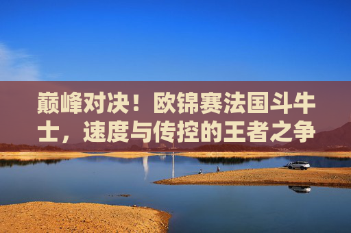 巅峰对决！欧锦赛法国斗牛士，速度与传控的王者之争，欧锦赛巅峰战，速度与传控的王者之争
