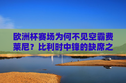 欧洲杯赛场为何不见空霸费莱尼？比利时中锋的缺席之谜，欧洲杯空霸费莱尼缺席之谜