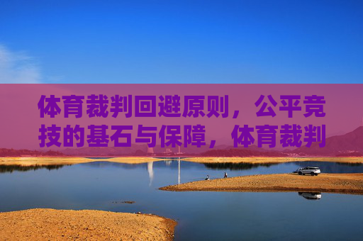 体育裁判回避原则，公平竞技的基石与保障，体育裁判回避原则，公平竞技的基石与保障