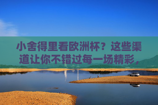 小舍得里看欧洲杯？这些渠道让你不错过每一场精彩，小舍得里看欧洲杯，这些渠道让你不错过每一场精彩