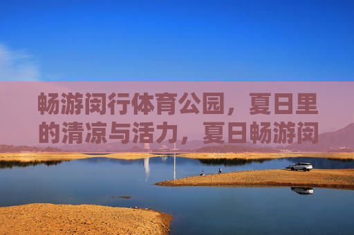 畅游闵行体育公园，夏日里的清凉与活力，夏日畅游闵行体育公园，清凉与活力
