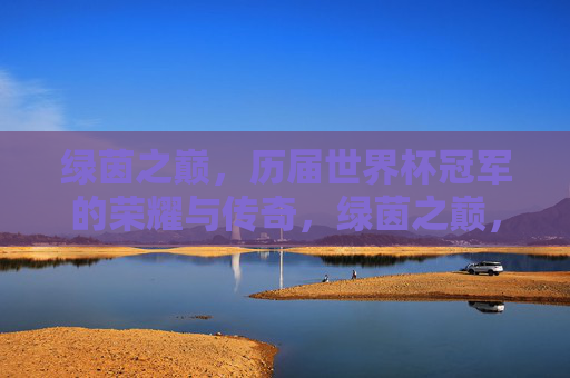 绿茵之巅,历届世界杯冠军的荣耀与传奇,绿茵之巅,世界杯冠军的荣耀与传奇 绿茵之巅,历届世界杯冠军的荣耀与传奇,绿茵之巅,世界杯冠军的荣耀与传奇