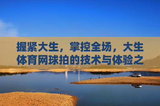 握紧大生，掌控全场，大生体育网球拍的技术与体验之选，大生体育网球拍，掌控全场的技术与体验之选