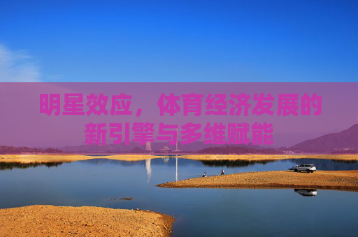明星效应，体育经济发展的新引擎与多维赋能