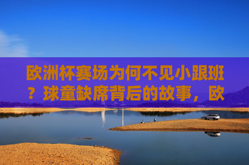 欧洲杯赛场为何不见小跟班？球童缺席背后的故事，欧洲杯赛场小跟班缺席之谜