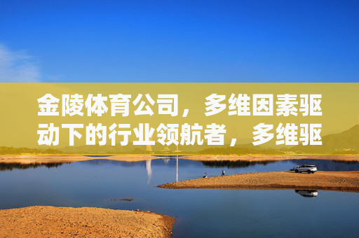 金陵体育公司，多维因素驱动下的行业领航者，多维驱动 领航行业——金陵体育