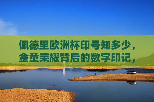 佩德里欧洲杯印号知多少，金童荣耀背后的数字印记，佩德里欧洲杯，金童荣耀的数字印记