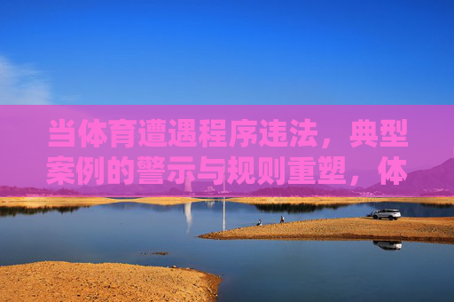 当体育遭遇程序违法,典型案例的警示与规则重塑,体育程序违法,典型案例警示与规则重塑 当体育遭遇程序违法,典型案例的警示与规则重塑,体育程序违法,典型案例警示与规则重塑