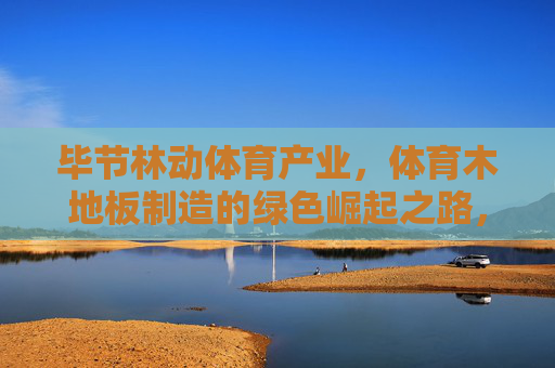 毕节林动体育产业,体育木地板制造的绿色崛起之路,毕节林动体育产业,体育木地板制造的绿色崛起 毕节林动体育产业,体育木地板制造的绿色崛起之路,毕节林动体育产业,体育木地板制造的绿色崛起