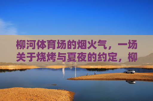 柳河体育场的烟火气，一场关于烧烤与夏夜的约定，柳河体育场烟火气，烧烤与夏夜的约定