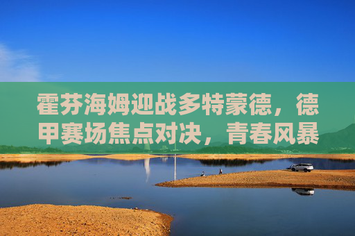 霍芬海姆迎战多特蒙德,德甲赛场焦点对决,青春风暴与经验底蕴的碰撞,德甲焦点战,霍芬海姆青春风暴VS多特蒙德经验底蕴 霍芬海姆迎战多特蒙德,德甲赛场焦点对决,青春风暴与经验底蕴的碰撞,德甲焦点战,霍芬海姆青春风暴VS多特蒙德经验底蕴