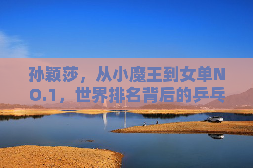 孙颖莎,从小魔王到女单NO.1,世界排名背后的乒乓王朝新生,孙颖莎,从小魔王到女单NO.1,乒乓王朝新生 孙颖莎,从小魔王到女单NO.1,世界排名背后的乒乓王朝新生,孙颖莎,从小魔王到女单NO.1,乒乓王朝新生