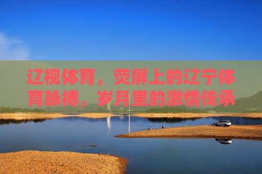 辽视体育,荧屏上的辽宁体育脉搏,岁月里的激情传承,荧屏脉动,传承辽体激情 辽视体育,荧屏上的辽宁体育脉搏,岁月里的激情传承,荧屏脉动,传承辽体激情