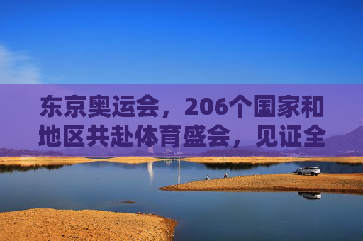 东京奥运会，206个国家和地区共赴体育盛会，见证全球团结与梦想，东京奥运会，206个国家和地区共赴盛会，见证全球团结与梦想