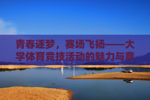 青春逐梦，赛场飞扬——大学体育竞技活动的魅力与意义，逐梦青春，飞扬赛场——大学体育竞技的魅力与意义