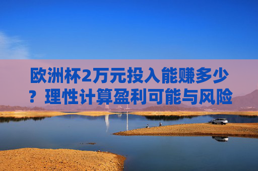 欧洲杯2万元投入能赚多少？理性计算盈利可能与风险警示，欧洲杯2万元投入，理性计算盈利可能与风险警示