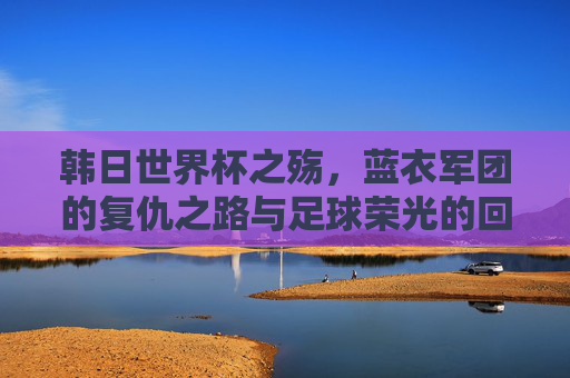 韩日世界杯之殇,蓝衣军团的复仇之路与足球荣光的回归 韩日世界杯之殇,蓝衣军团的复仇之路与足球荣光的回归