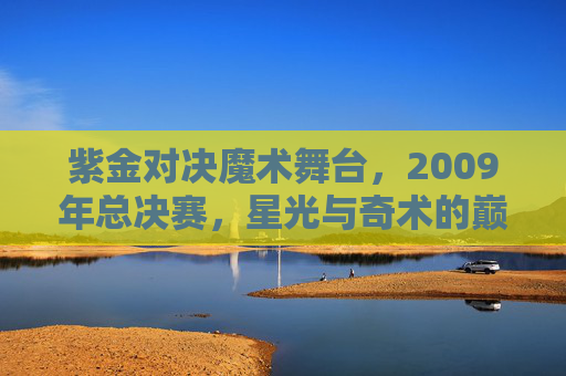 紫金对决魔术舞台，2009年总决赛，星光与奇术的巅峰碰撞，紫金对决魔术，2009总决赛星光奇术巅峰碰撞