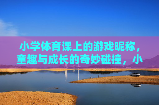 小学体育课上的游戏昵称,童趣与成长的奇妙碰撞,小学体育课昵称,童趣与成长的奇妙碰撞 小学体育课上的游戏昵称,童趣与成长的奇妙碰撞,小学体育课昵称,童趣与成长的奇妙碰撞