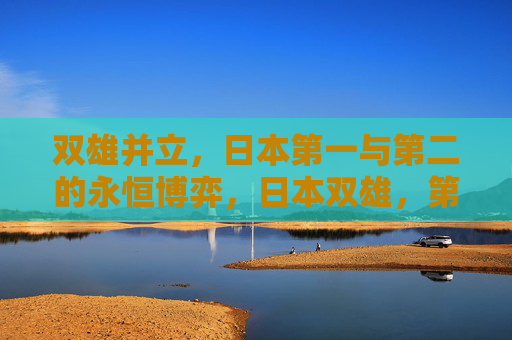 双雄并立,日本第一与第二的永恒博弈,日本双雄,第一与第二的永恒博弈 双雄并立,日本第一与第二的永恒博弈,日本双雄,第一与第二的永恒博弈