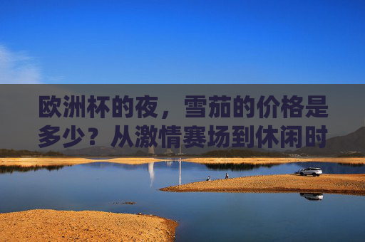 欧洲杯的夜,雪茄的价格是多少?从激情赛场到休闲时刻的消费账单,欧洲杯夜雪茄几何,从赛场激情到休闲时刻的消费账单 欧洲杯的夜,雪茄的价格是多少?从激情赛场到休闲时刻的消费账单,欧洲杯夜雪茄几何,从赛场激情到休闲时刻的消费账单