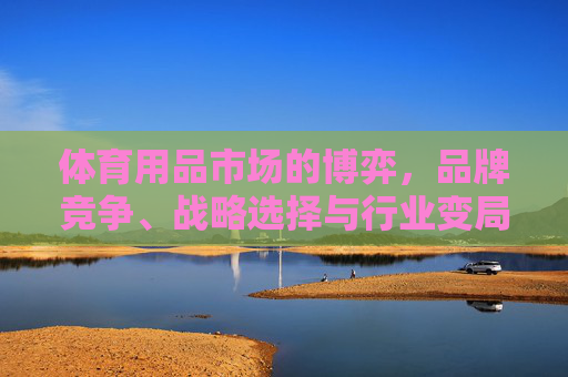 体育用品市场的博弈,品牌竞争、战略选择与行业变局,体育用品市场博弈,品牌竞争、战略选择与行业变局 体育用品市场的博弈,品牌竞争、战略选择与行业变局,体育用品市场博弈,品牌竞争、战略选择与行业变局