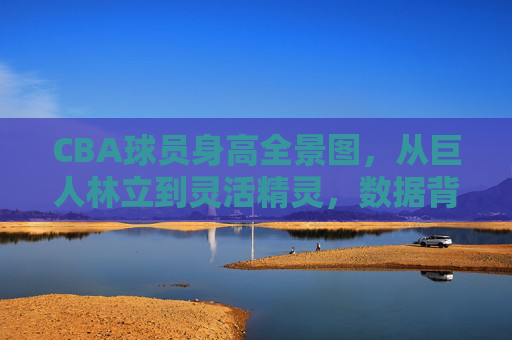 CBA球员身高全景图,从巨人林立到灵活精灵,数据背后的位置密码,CBA球员身高全景图,位置密码背后的身高分布 CBA球员身高全景图,从巨人林立到灵活精灵,数据背后的位置密码,CBA球员身高全景图,位置密码背后的身高分布