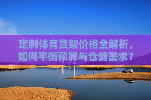 定制体育货架价格全解析，如何平衡预算与仓储需求？