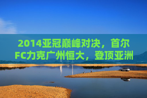2014亚冠巅峰对决，首尔FC力克广州恒大，登顶亚洲之巅，2014亚冠首尔FC力克恒大登顶亚洲之巅