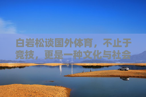 白岩松谈国外体育，不止于竞技，更是一种文化与社会镜像，白岩松，国外体育不止于竞技，更是文化与社会镜像