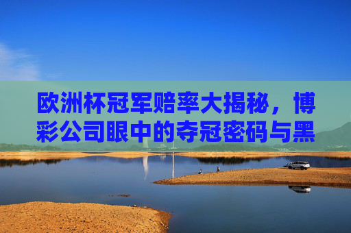 欧洲杯冠军赔率大揭秘，博彩公司眼中的夺冠密码与黑马悬念，欧洲杯冠军赔率，博彩公司眼中的夺冠密码与黑马悬念