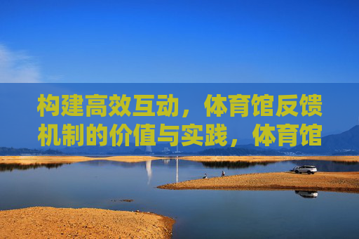 构建高效互动，体育馆反馈机制的价值与实践，体育馆反馈机制，高效互动的价值与实践